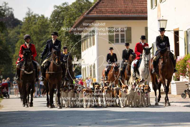 Gestütsschau Schwaiganger6