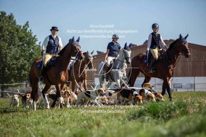 Gundelsdorf-067