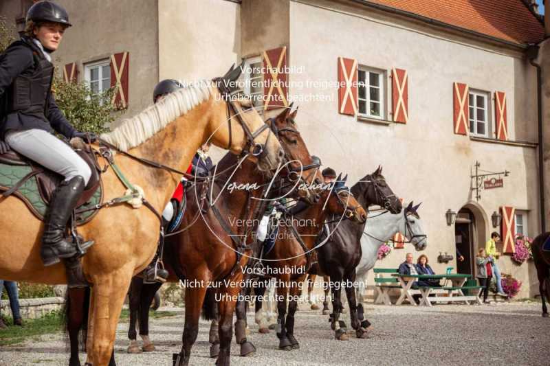 Schleppjagd_Harburg-167