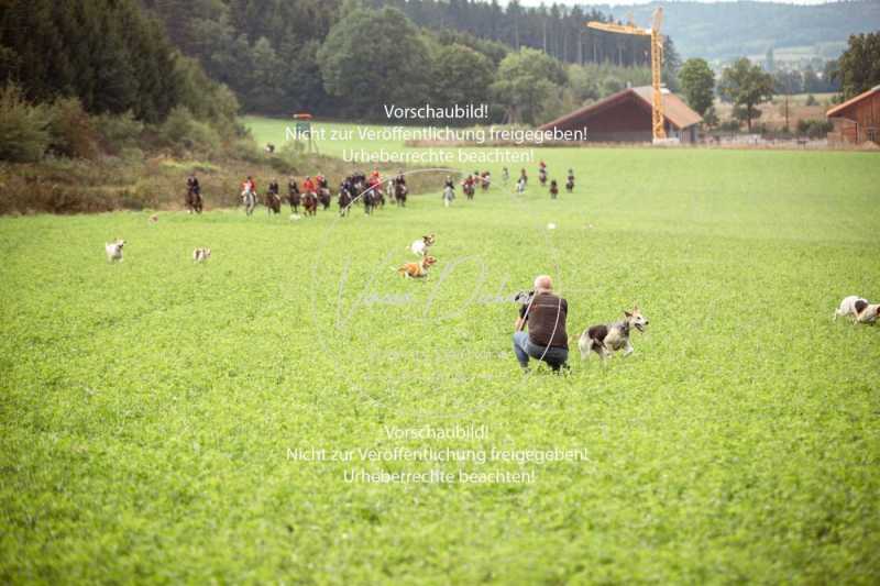 Eröffnungsjagd Mandlachsee-162