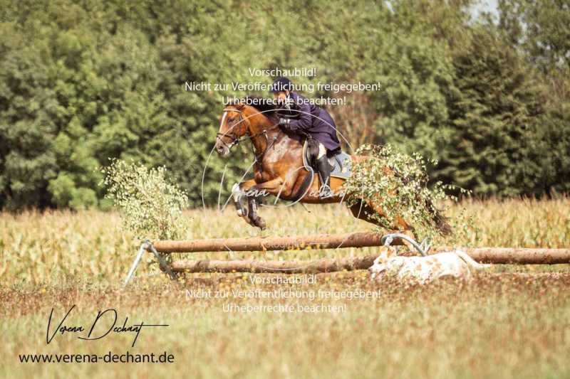 Eröffnungsjagd Mandlachsee-241-Bearbeitet