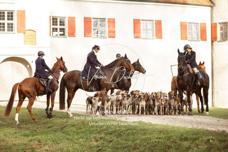 Scheppjagd-Gruenau-2024_237