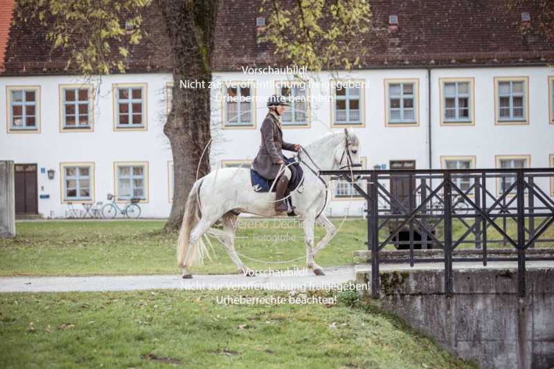 Schloss_Schleissheim-369-2