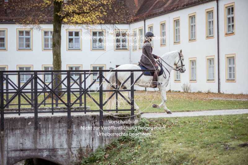 Schloss_Schleissheim-371-2