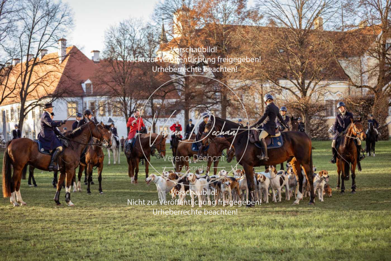 Schleppjagd_Schhleissheim-1119