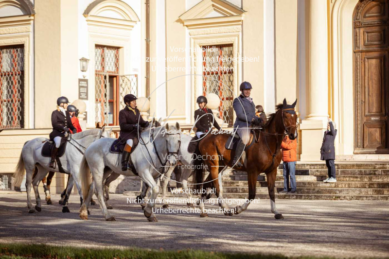 Schleppjagd_Schhleissheim-205-2