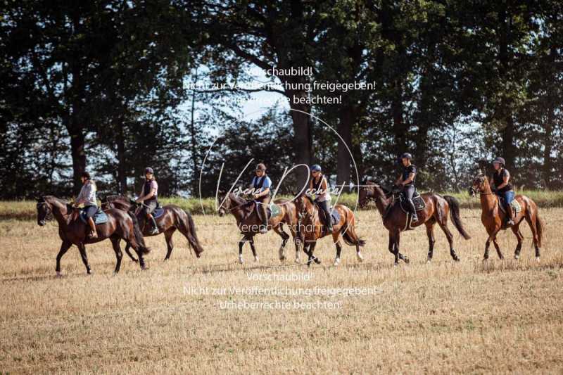 Schleppjagdtraining-040