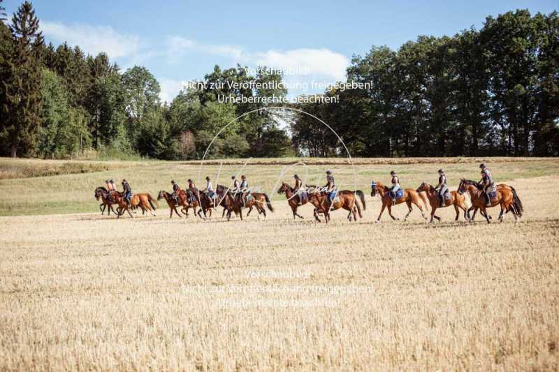 Schleppjagdtraining-046