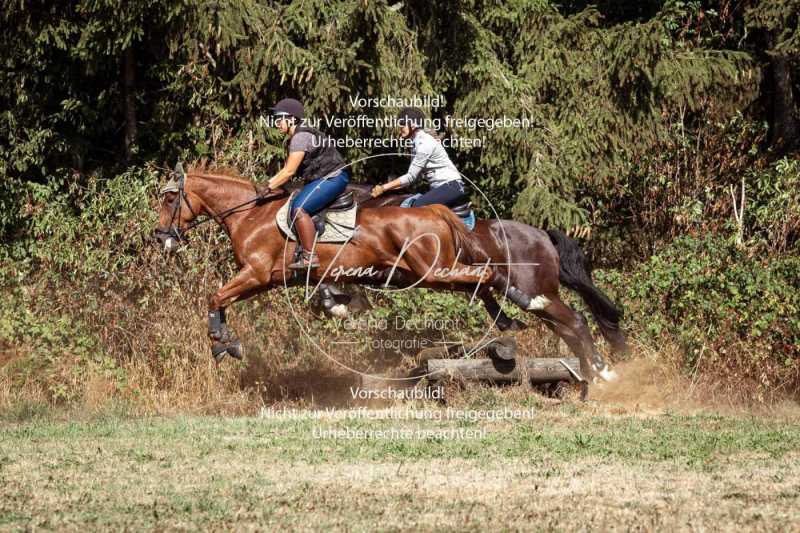 Schleppjagdtraining-155