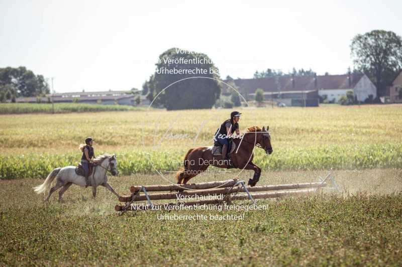 Schleppjagdtraining-172