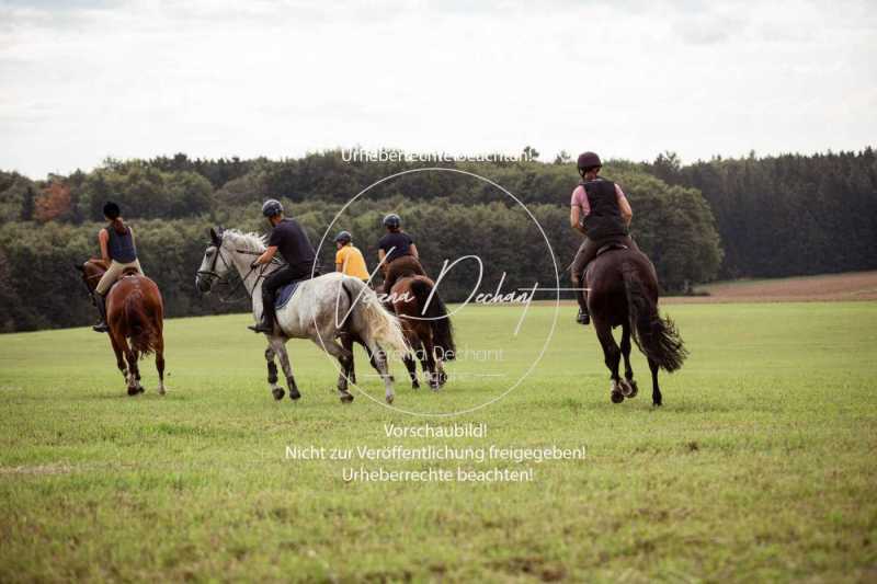 Schleppjagdtraining_2023-028-2