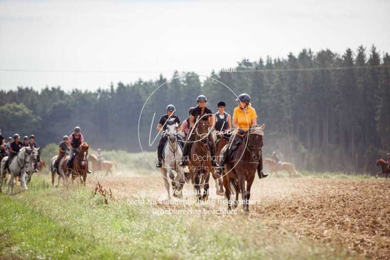 Schleppjagdtraining_2023-072