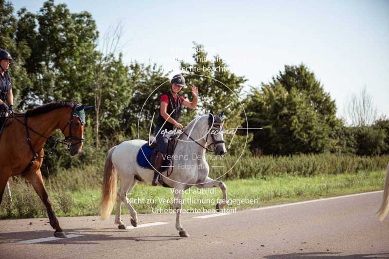 Schleppjagdtraining_2023-011