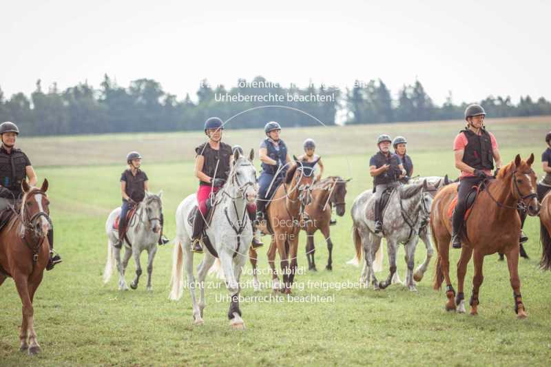 Schleppjagdtraining_2023-045