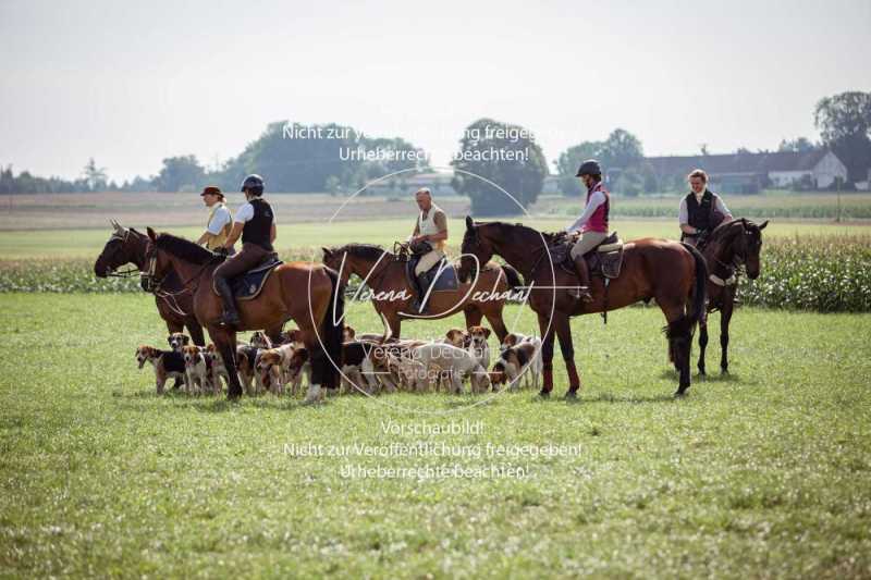 Schleppjagdtraining_2023-201