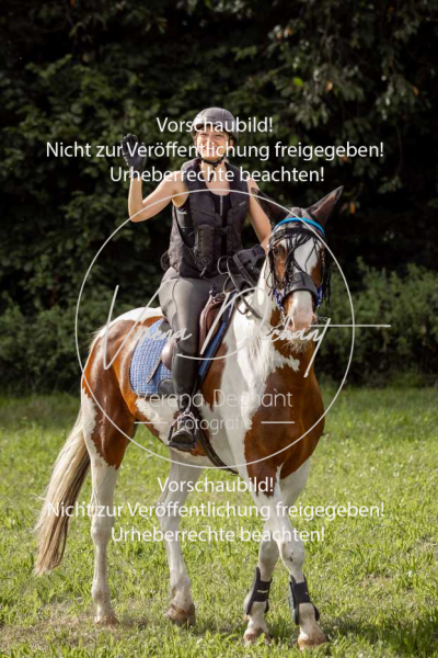 Schleppjagdtraining_GRIV_2024-005