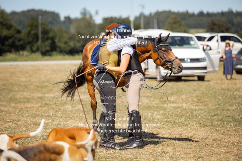 Schleppjagdtraining_GRIV_2024-1120