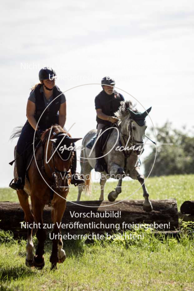 Schleppjagdtraining_GRIV_2024-348