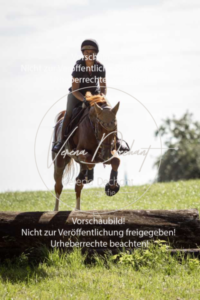 Schleppjagdtraining_GRIV_2024-351