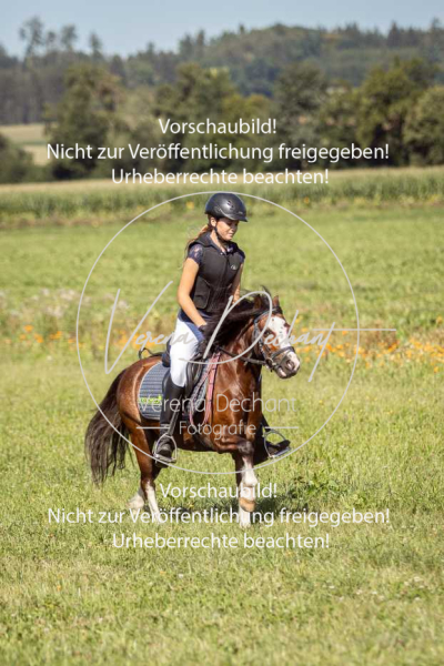 Schleppjagdtraining_GRIV_2024-716