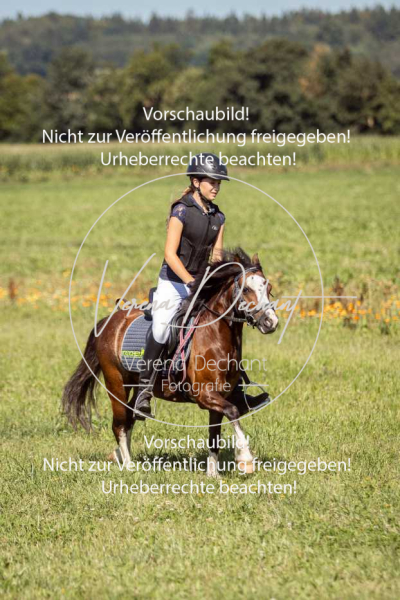 Schleppjagdtraining_GRIV_2024-717