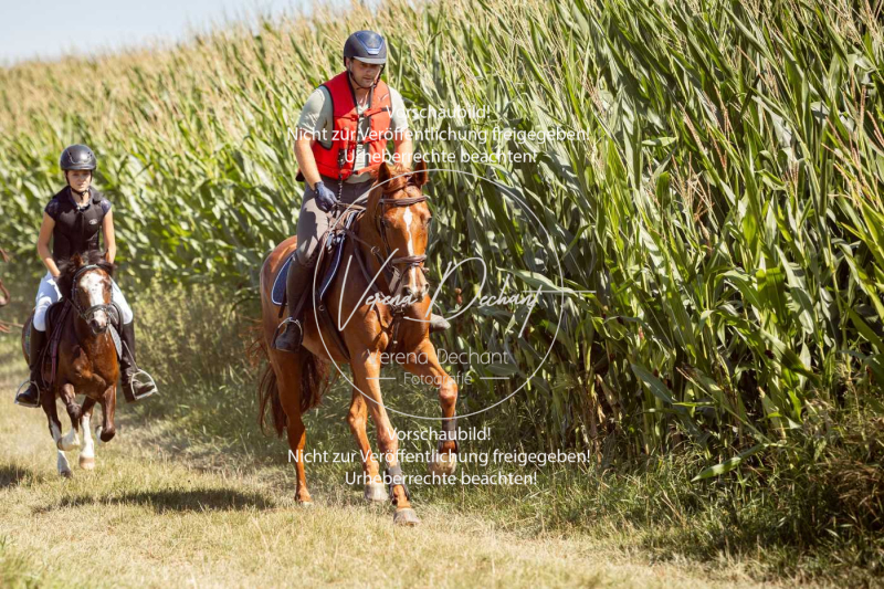 Schleppjagdtraining_GRIV_2024-904